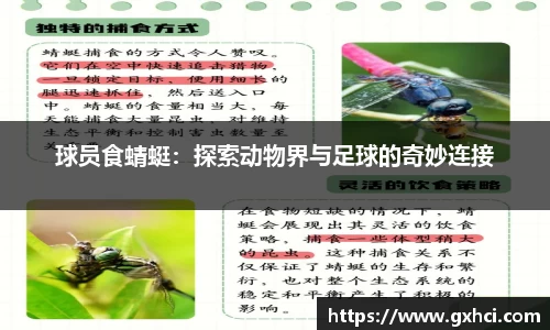 qy球友会平台