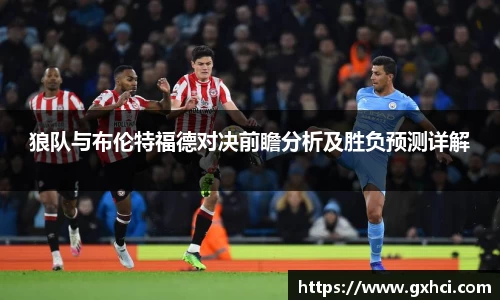 狼队与布伦特福德对决前瞻分析及胜负预测详解